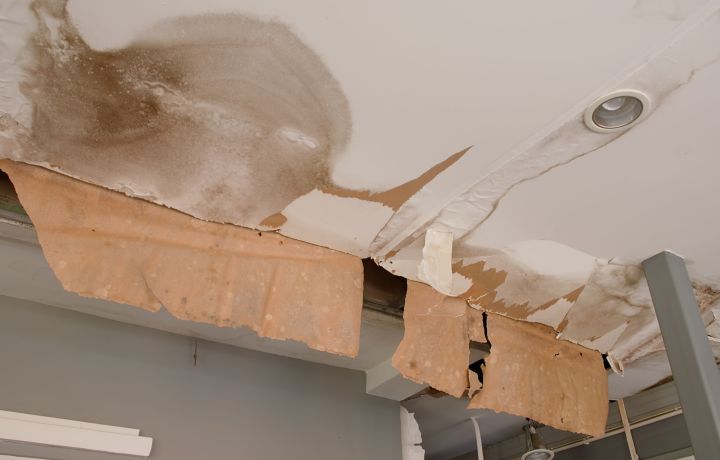 Flooding & Water Damage